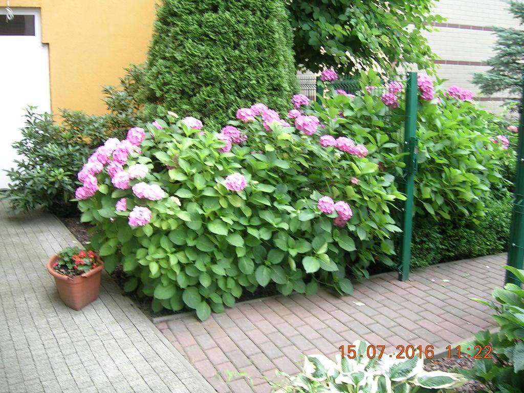 Apartment Staromlynska *